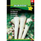 Parsley root